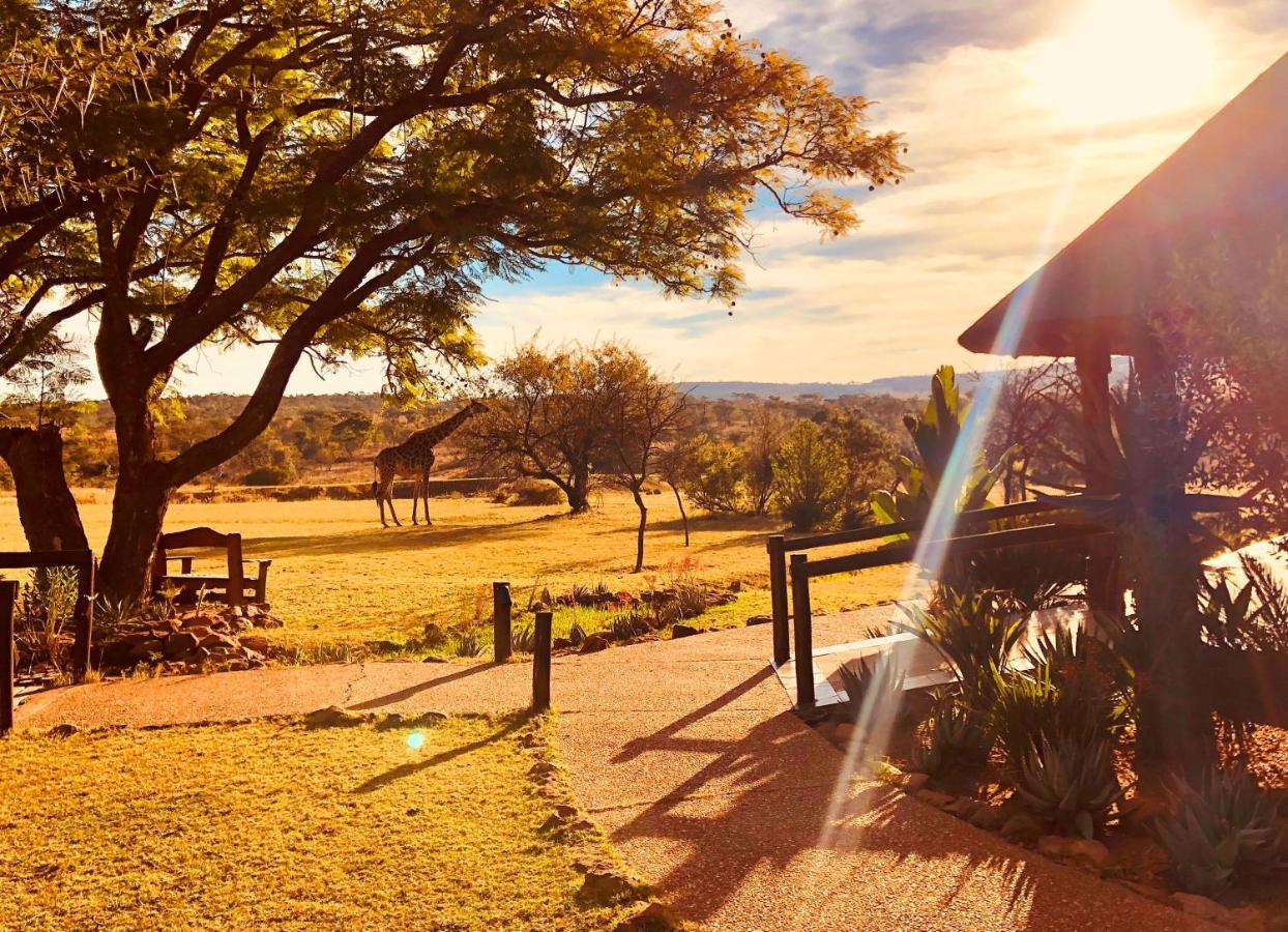 Kololo Game Reserve Vaalwater Exteriér fotografie