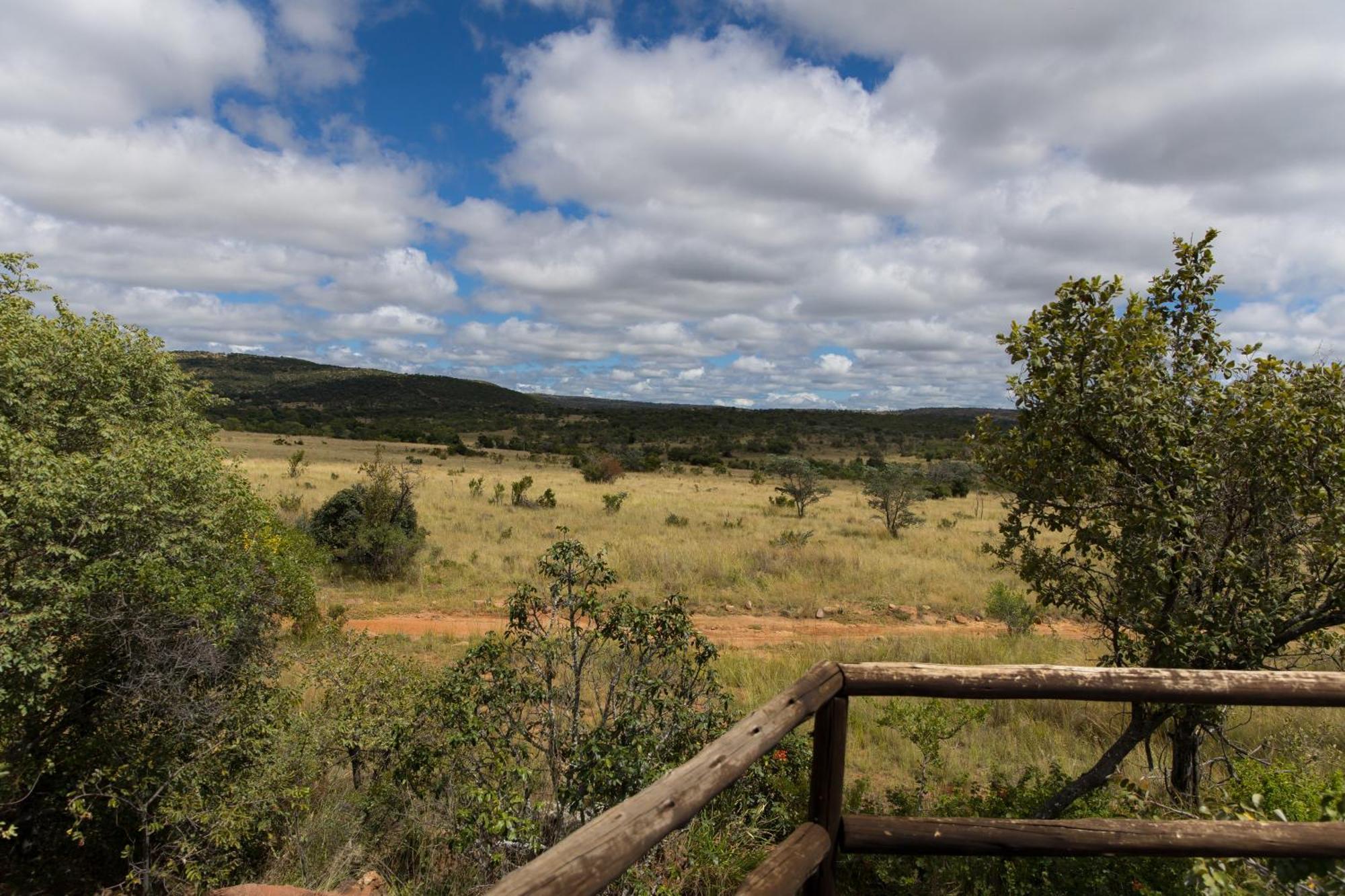 Kololo Game Reserve Vaalwater Exteriér fotografie