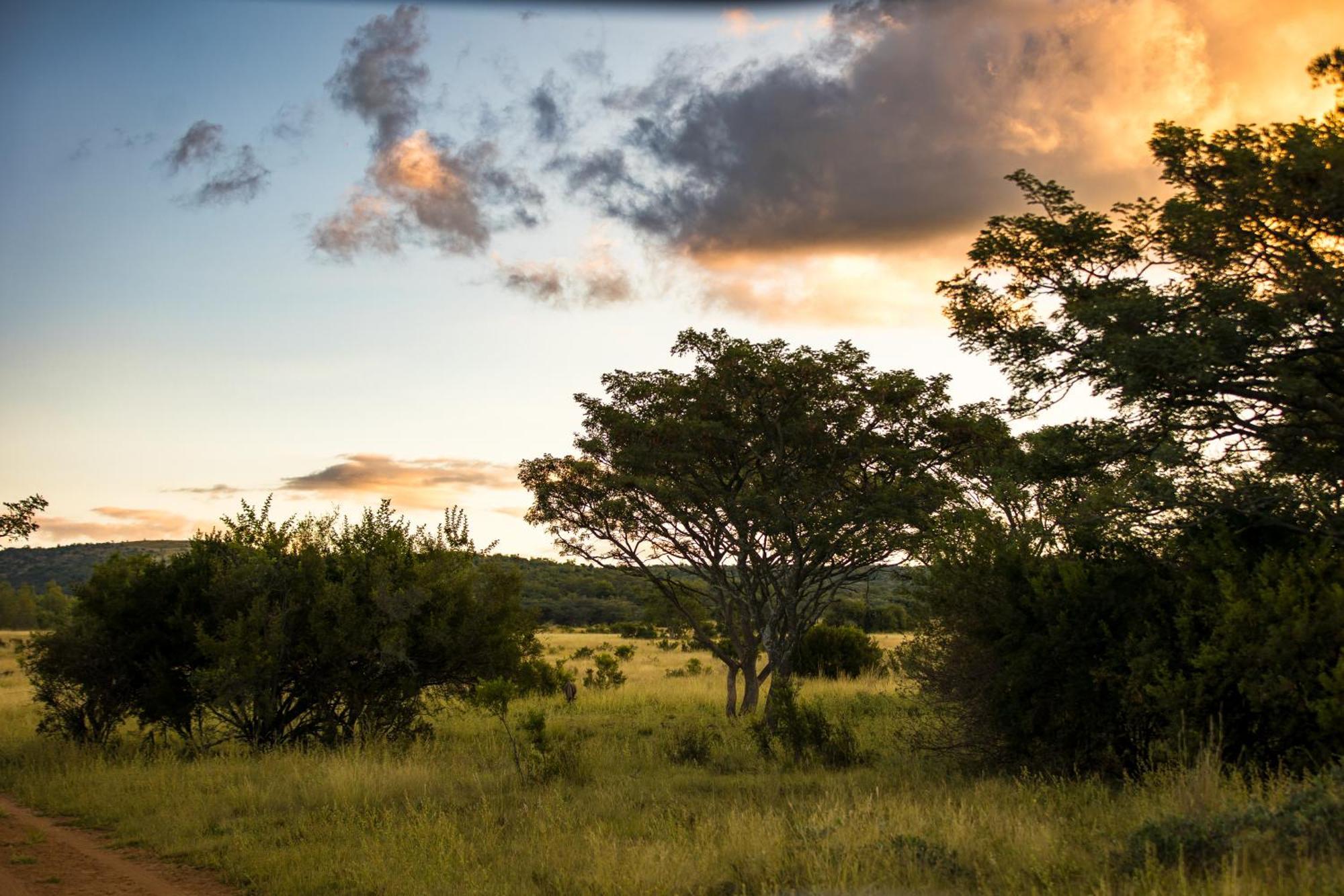 Kololo Game Reserve Vaalwater Exteriér fotografie
