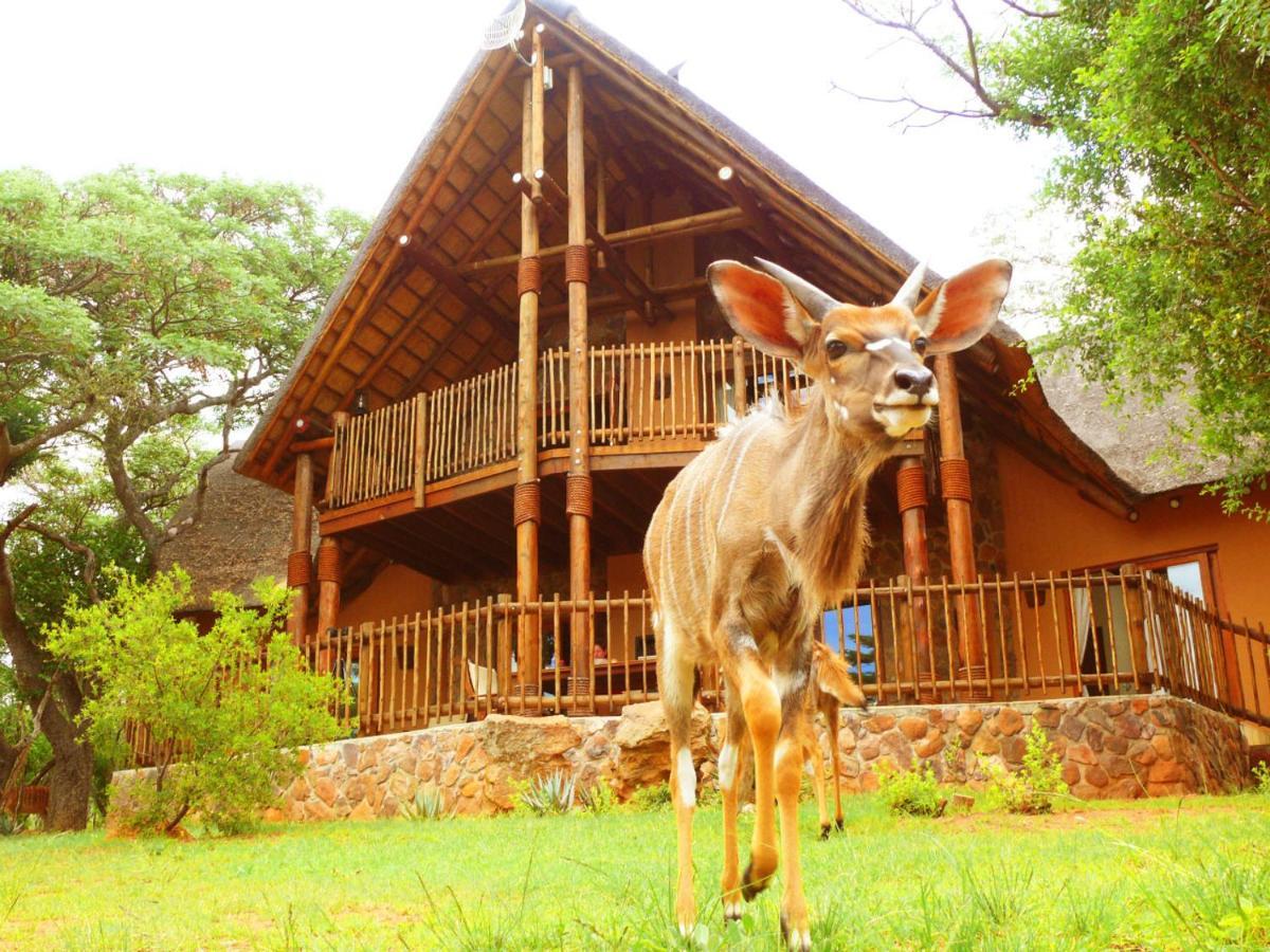 Kololo Game Reserve Vaalwater Exteriér fotografie